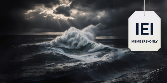 Navigating the Choppy Waters Ahead for 2025