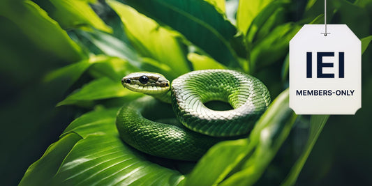 'Snakes in the Grass' in Higher Education