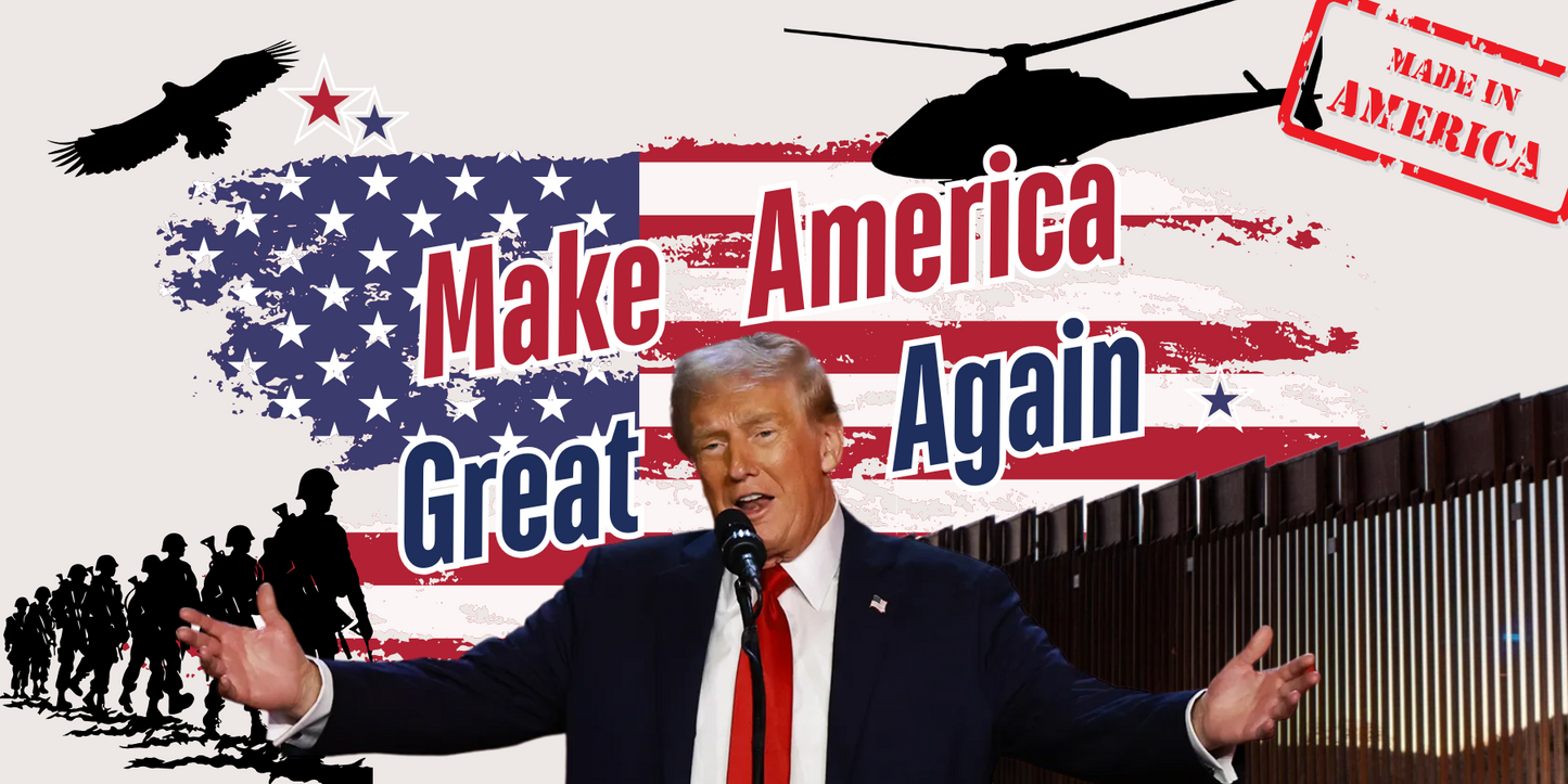 Trumps Blitzkrieg on Immigration