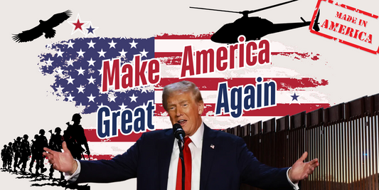 Trumps Blitzkrieg on Immigration